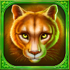 ultra buffalo hold and win lion symbol