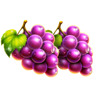 ultra reels fruteria grape symbol