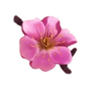 unbridled fortune pink flower symbol
