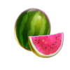 undercover joker watermelon symbol