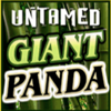 untamed giant panda wild symbol