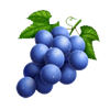 upgrade fever grapes symbol