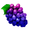 vbet 21 grape symbol