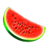 vbet 21 melon symbol