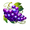 very fruitful grapes symbol