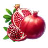very fruitful pomegrenate symbol