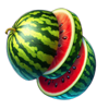 very pink watermelon symbol