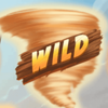 victoria wild wild symbol
