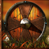 viking age 8