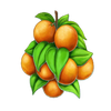 volcano eruption oranges symbol