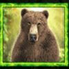 wgs forest frenzy bear symbol