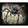 wicked whiskers spider symbol