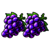 wild 27 extreme grapes symbol