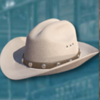 wild bandits hat symbol