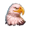 wild bison spirit hold and win eagle symbol