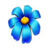 wild blooms blue symbol