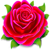 wild blooms red symbol