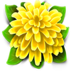 wild blooms yellow symbol