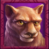 wild buffalo megaways hold n link puma symbol