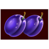 wild burning wins 5 lines berries symbol