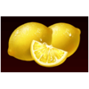 wild burning wins 5 lines lemons symbol