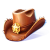 wild canyon hat symbol