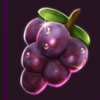 wild cash spins grape symbol