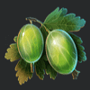 wild cherry blast figs symbol