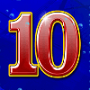 wild dolphin 10 symbol