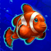 wild dolphin clownfish symbol