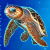 wild dolphin turtle symbol