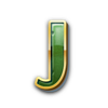 wild don donkey j symbol