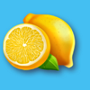 wild fruit jam lemon symbol