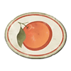 wild fruits orange symbol