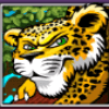 wild gambler cheetah symbol