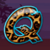 wild gambler q letter symbol