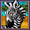 wild gambler zebra symbol