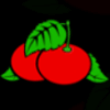 wild girls cherries symbol