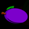 wild girls plum symbol