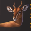 wild herd deer symbol
