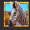 wild herd zebra symbol