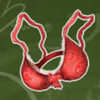 wild school bra symbol