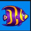 wild shark fish symbol 1