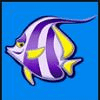 wild shark fish symbol 2