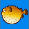 wild shark fish symbol 3
