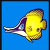wild shark fish symbol 5