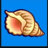 wild shark shell symbol