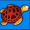 wild shark turtle symbol