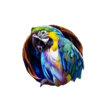 wild silverback parrot symbol