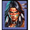 wild spirit deluxe native warrior girl symbol